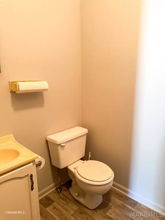 Picture 17