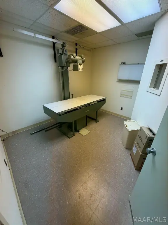 Picture 14