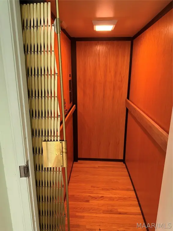 Picture 11