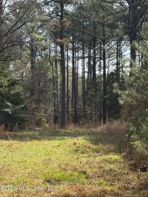 Picture 21