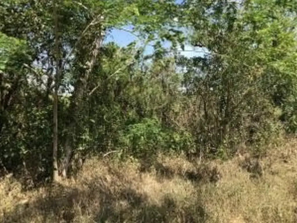Picture 15