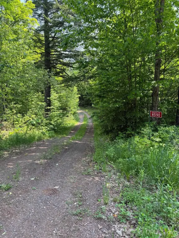 Picture 17