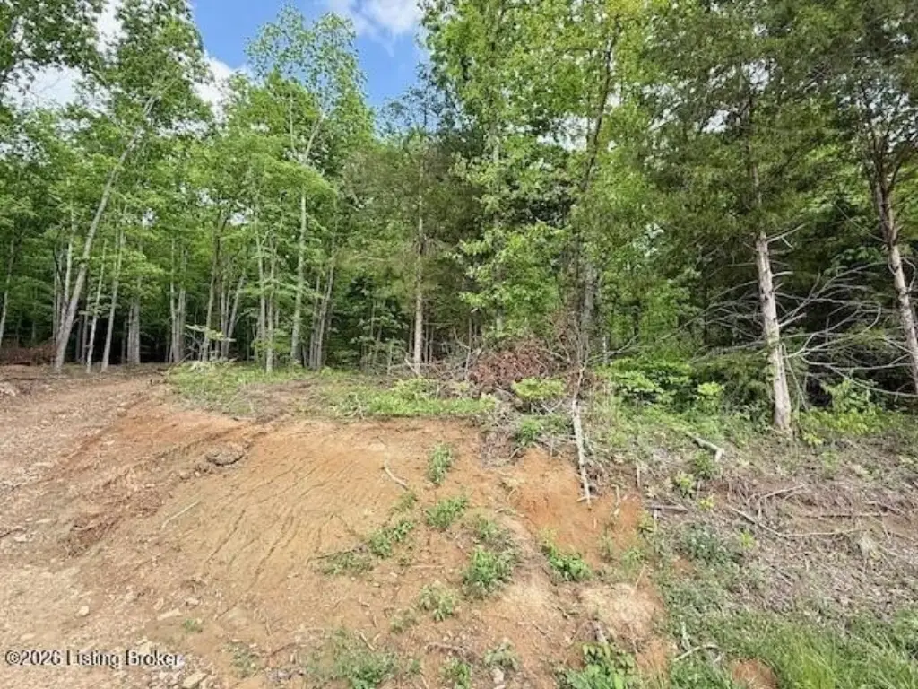 Picture 4