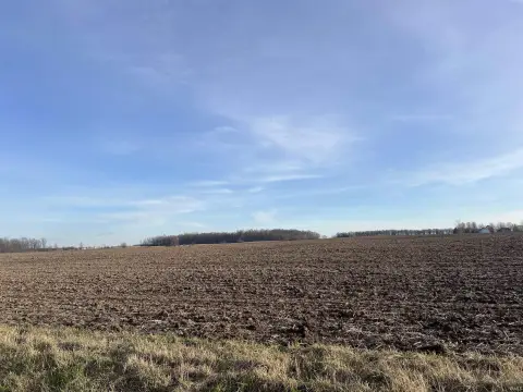 Portland, Indiana Agricultural Land