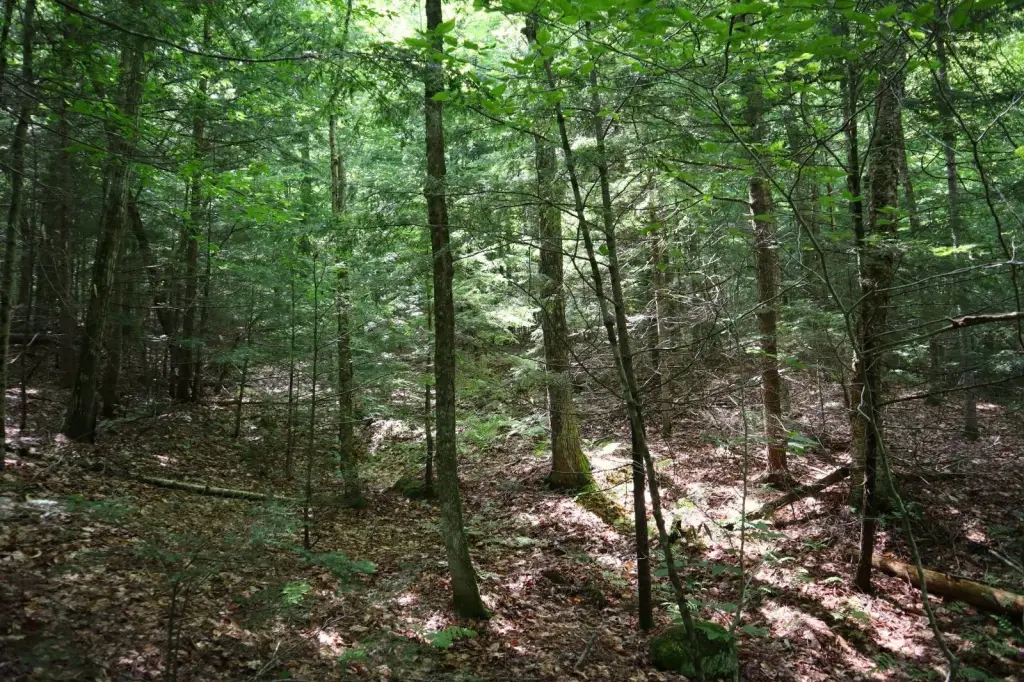 Picture 19