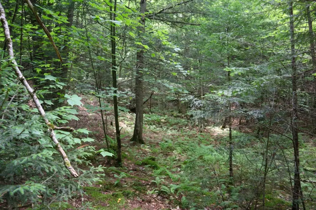 Picture 30