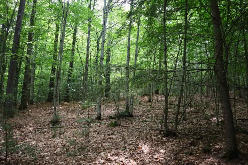 Picture 39