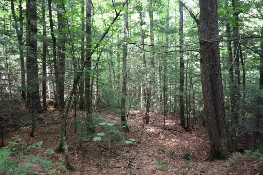 Picture 23