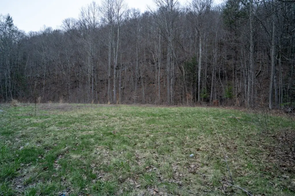 Picture 21