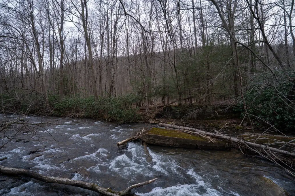 Picture 41