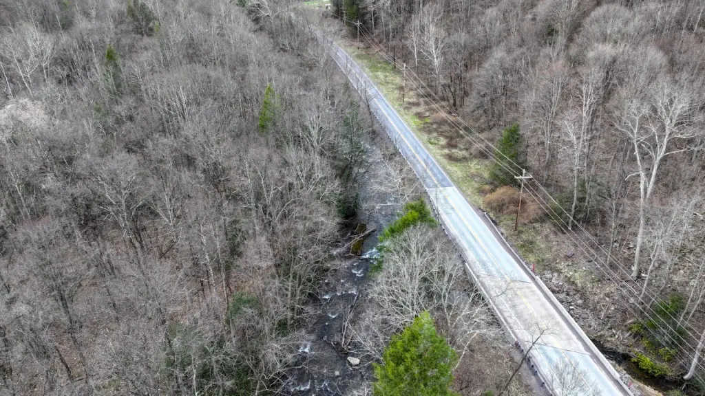 Picture 16