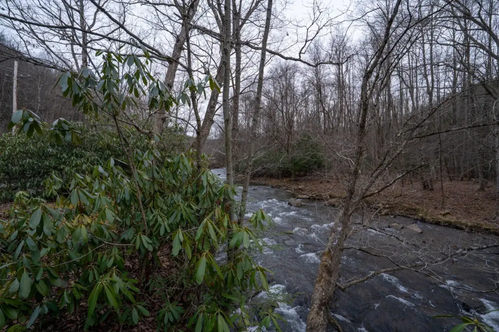 Picture 38