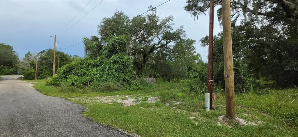 Picture 6