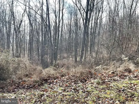 Wooded Lot Near Raystown Lake