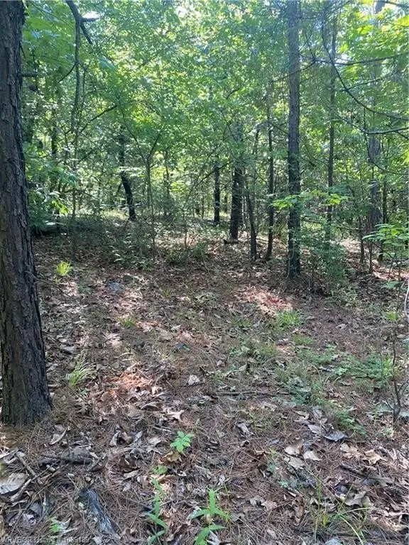 Picture 15