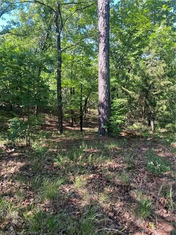 Picture 2