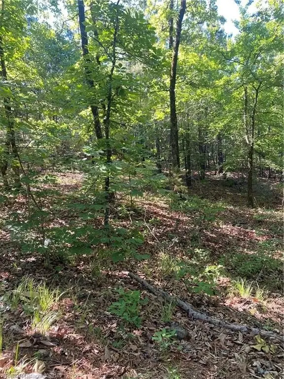 Picture 16