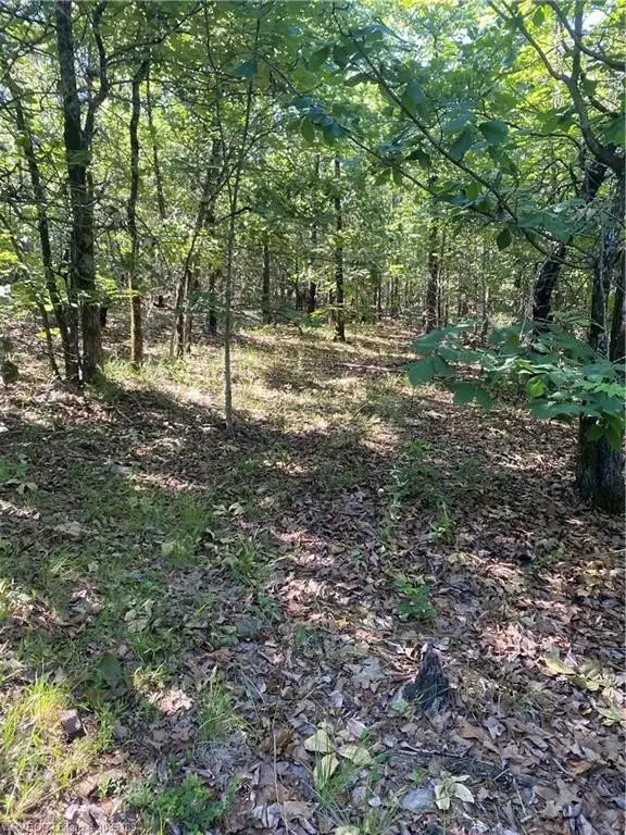 Picture 18
