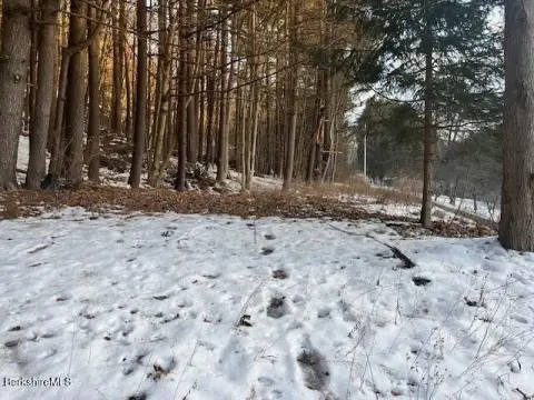 Residential Land in Great Barrington