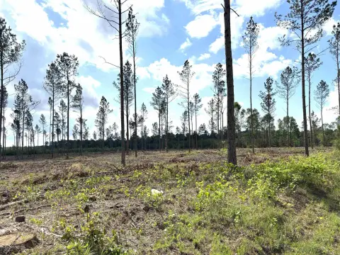 Sheridan, AR Level Land