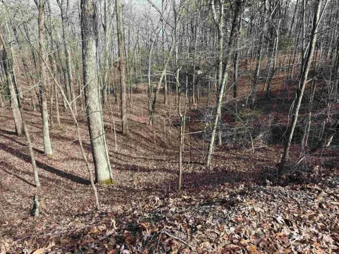 Heber Springs Subdivision Lot