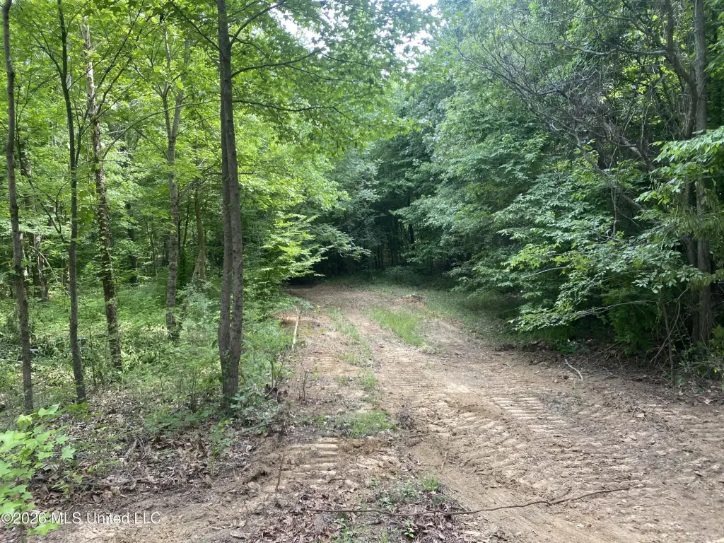 Picture 4