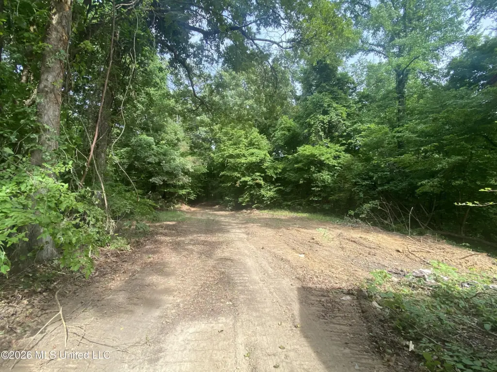 Picture 17