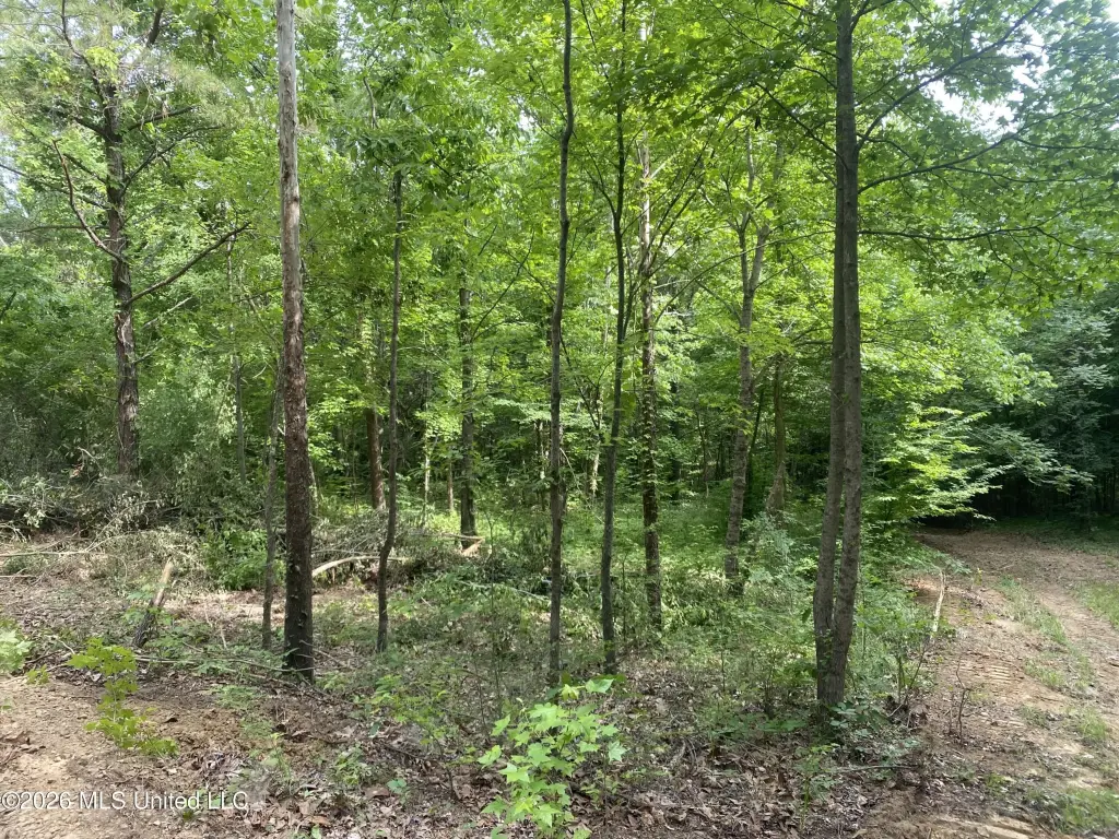 Picture 5