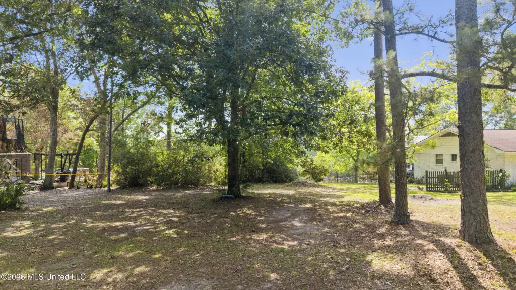 Picture 15