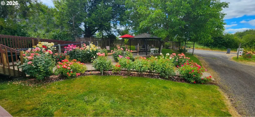 Picture 19