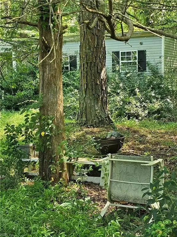 Picture 13