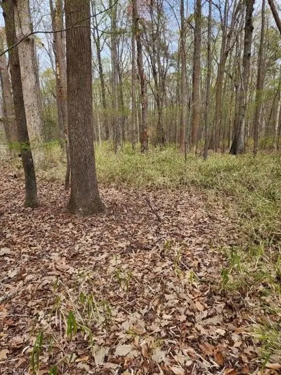 Picture 14