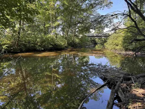 Wooded Land Near Mosquito Creek