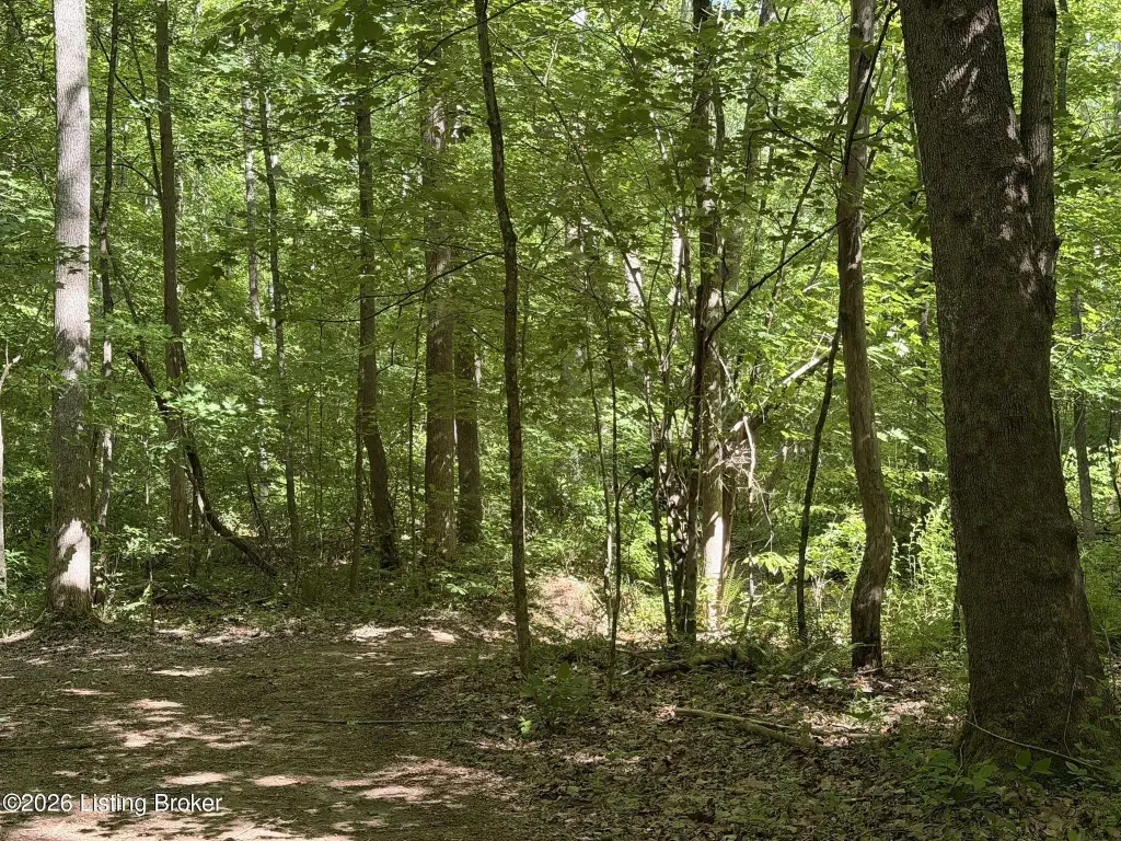 Picture 17
