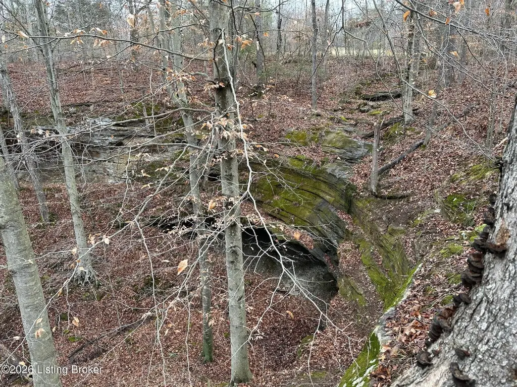 Picture 14