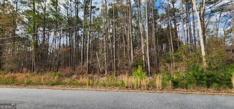 Conyers Land For Sale
