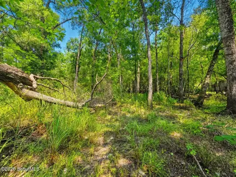 Land Near Satilla River