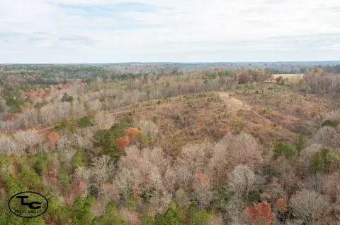 242.8 Acres Vacant Land, Jasper, AL