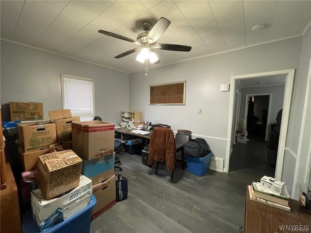 Picture 5