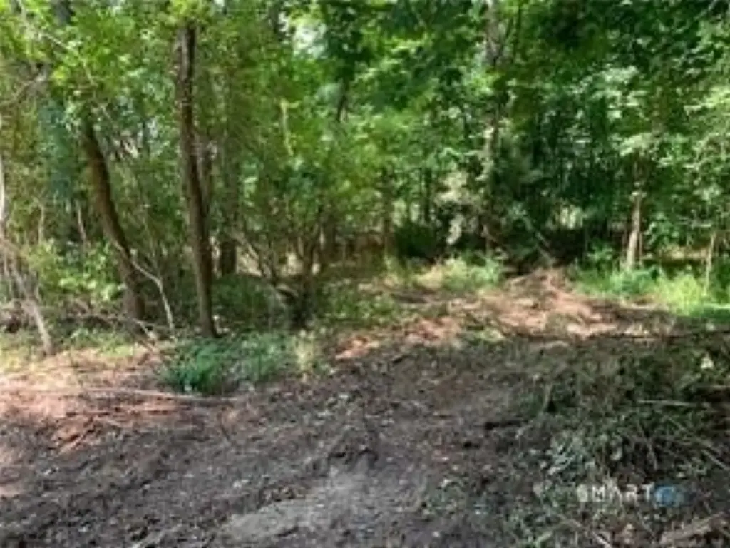 Picture 3