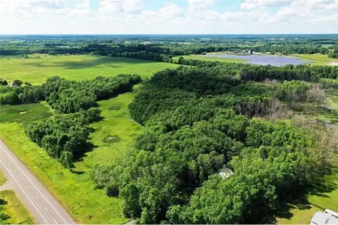 47 Acres Wooded Land Shafer