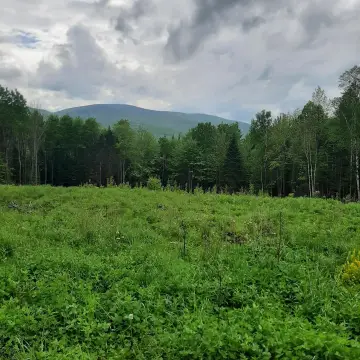 Columbia, NH Land with Views