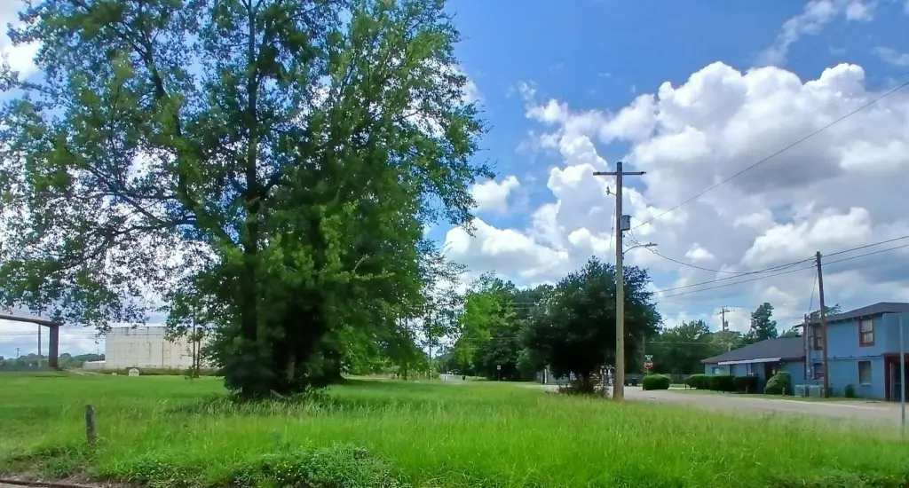 Picture 5