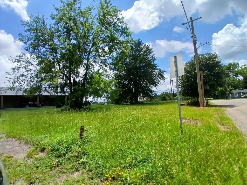 Picture 9