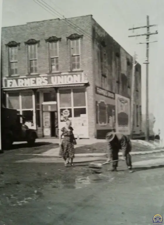 Picture 8