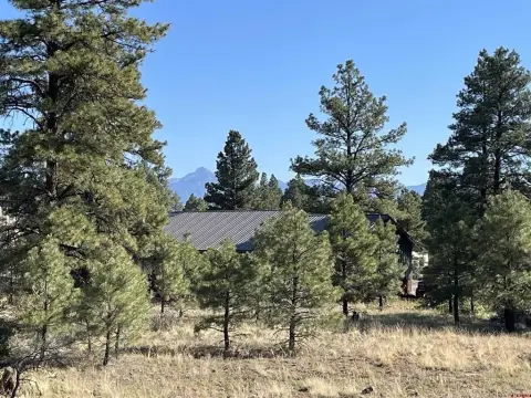Wooded Lot in Pagosa Springs