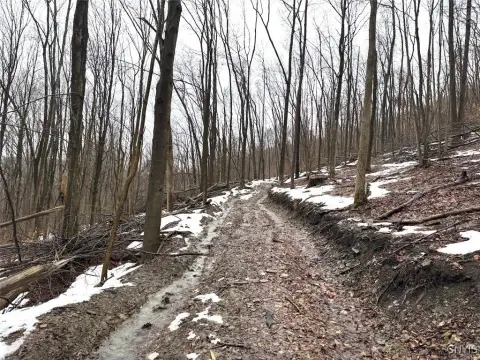 67.2 Acres of Recreational Land