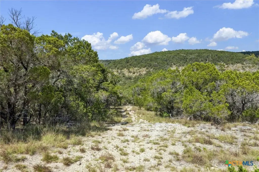 Picture 23