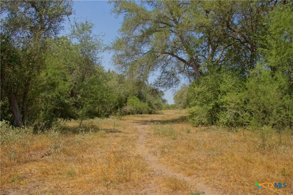 Picture 19