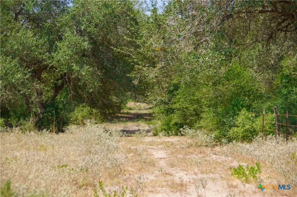 Picture 15